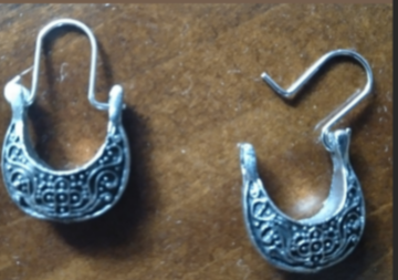 Horseshoe Earrings